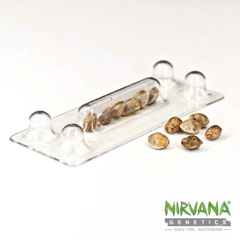 Gelato van Nirvana