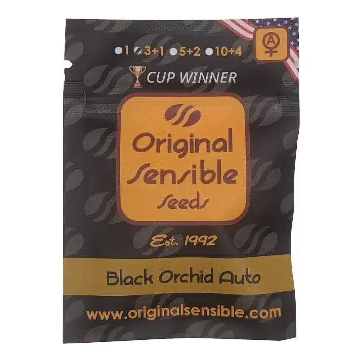 Black Orchid van Original Sensible Seeds