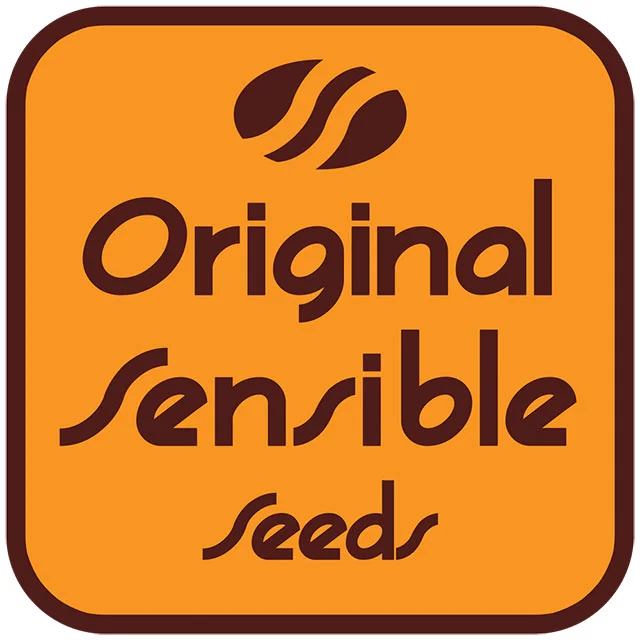 Ghost Cookies van Original Sensible Seeds
