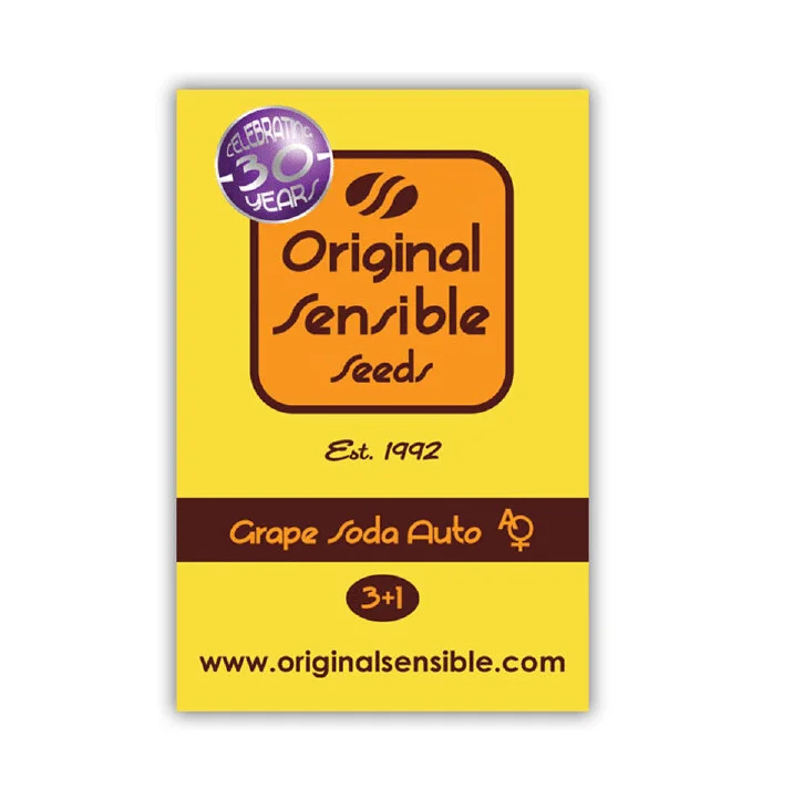 Grape Soda van Original Sensible Seeds