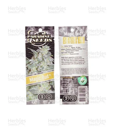Magic Bud van Paradise Seeds