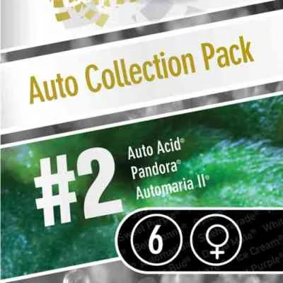 Collection Pack 2 van Paradise Seeds