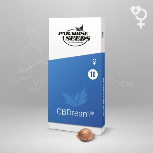 CBDream van Paradise Seeds