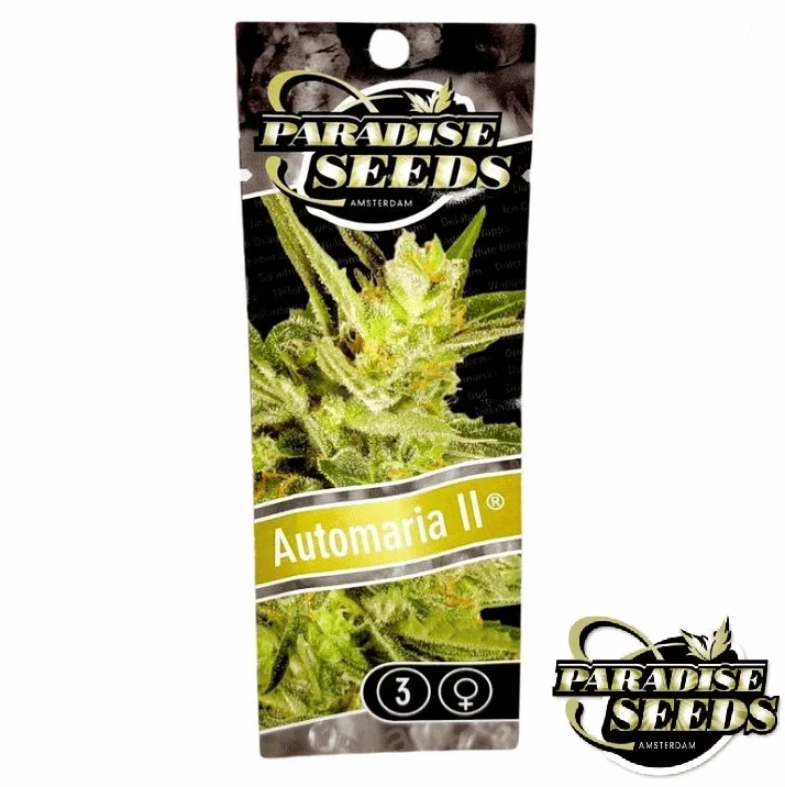 Maria II van Paradise Seeds