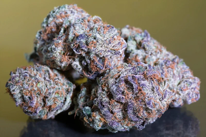 Blue Gem van Paradise Seeds