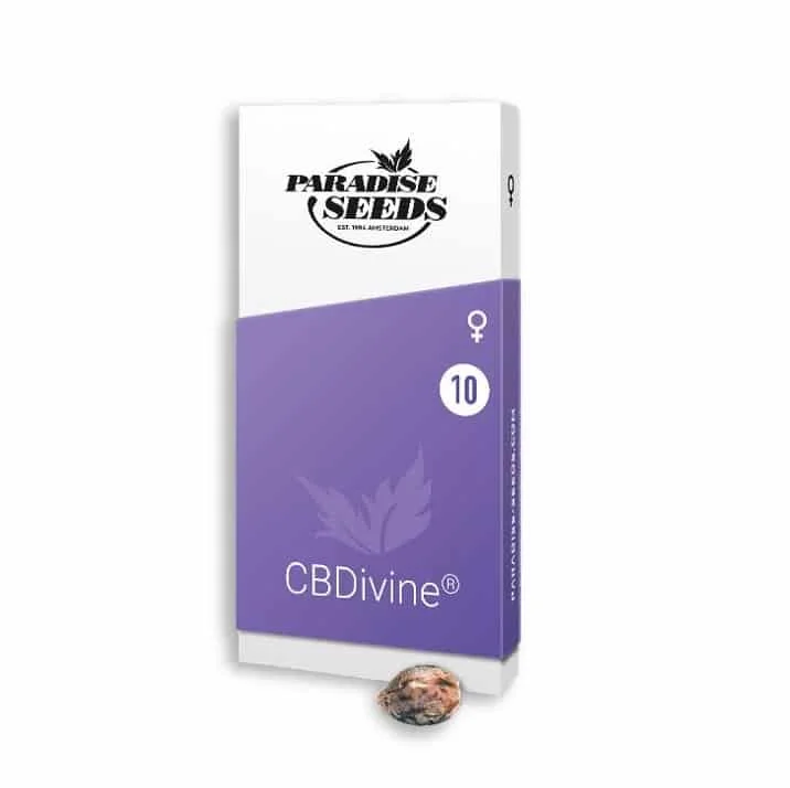CBDivine van Paradise Seeds