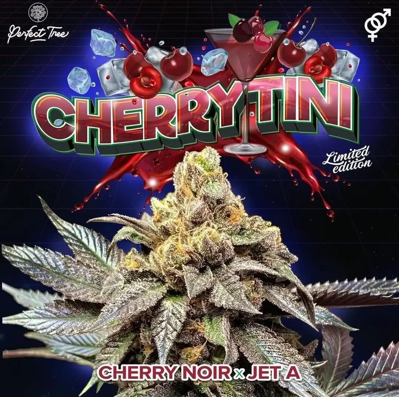 Cherrytini van Perfect Tree