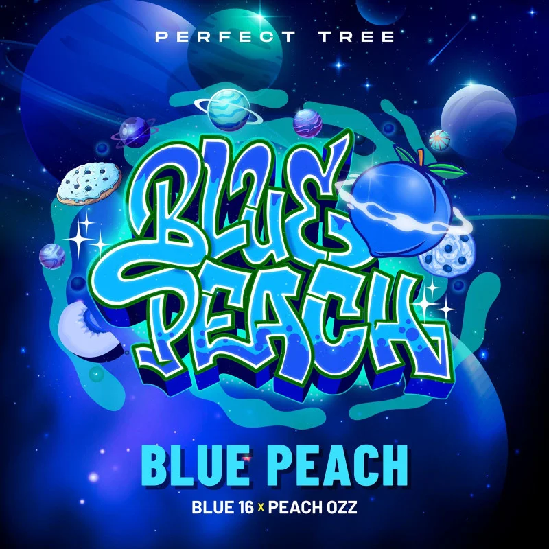 Blue Peach van Perfect Tree