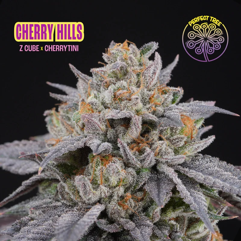 Cherry Hills van Perfect Tree