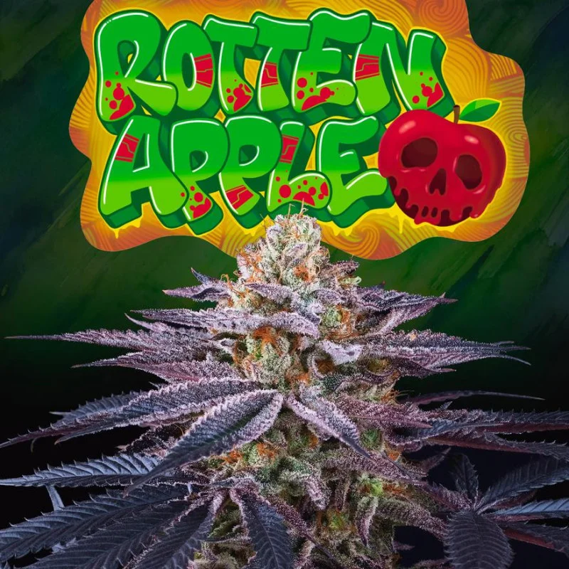 Rotten Apple van Perfect Tree