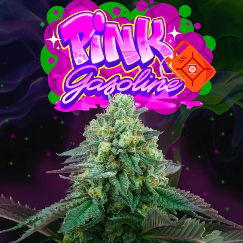 Pink Gasoline van Perfect Tree