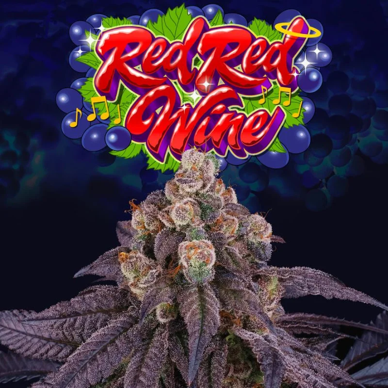 Red Red Wine van Perfect Tree