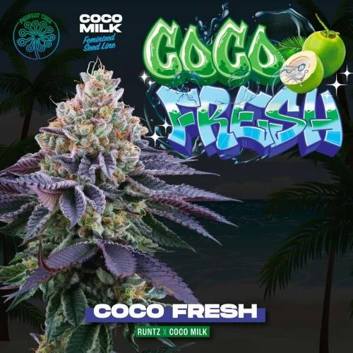 Coco Fresh van Perfect Tree