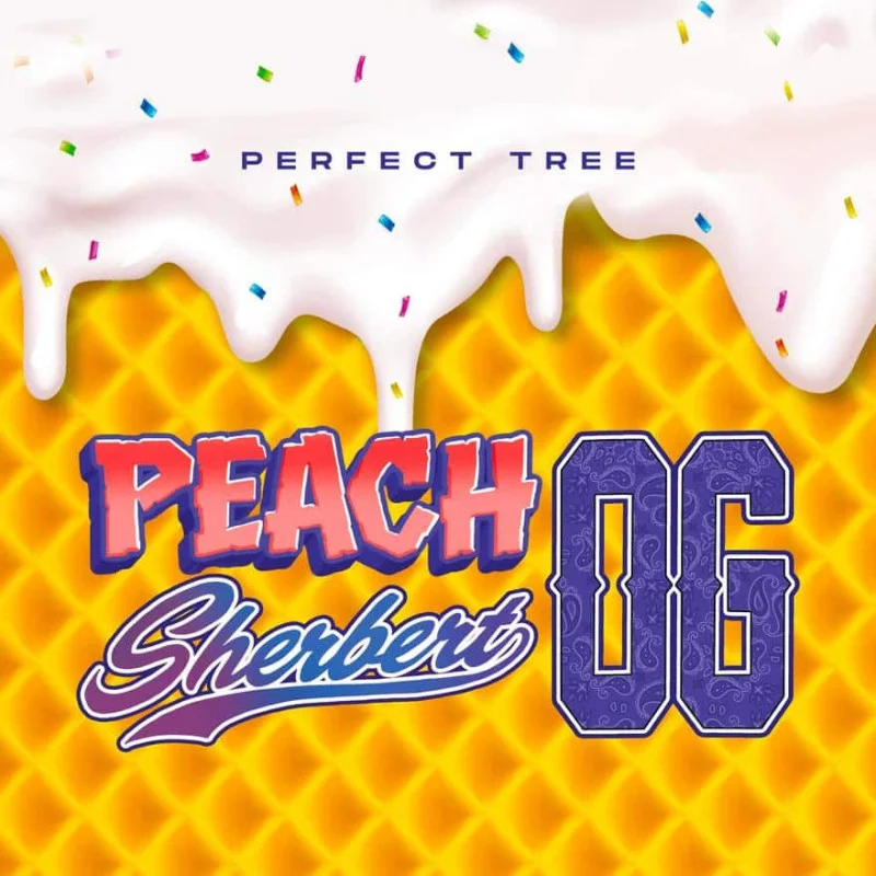 Peach Sherbert OG van Perfect Tree