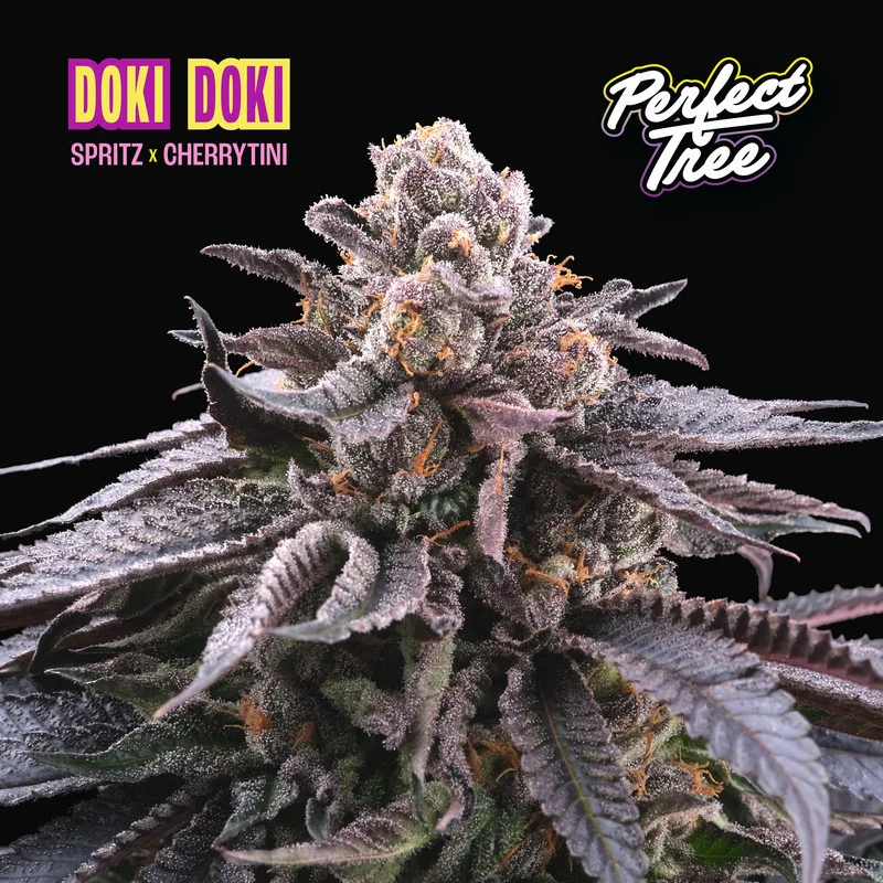 Doki Doki van Perfect Tree