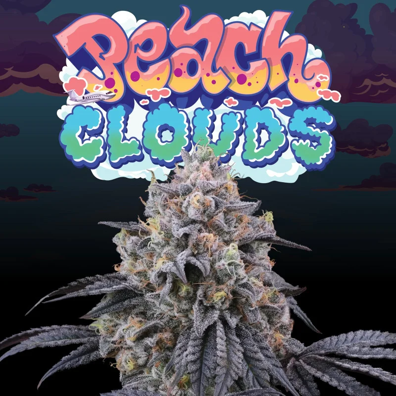 Peach Clouds van Perfect Tree