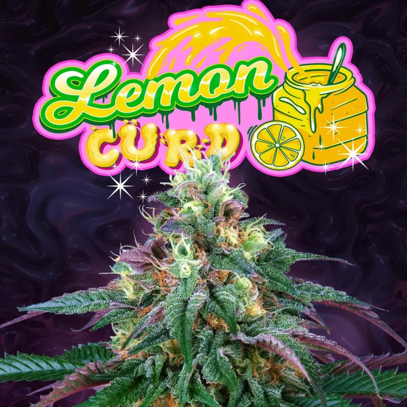 Lemon Curd van Perfect Tree