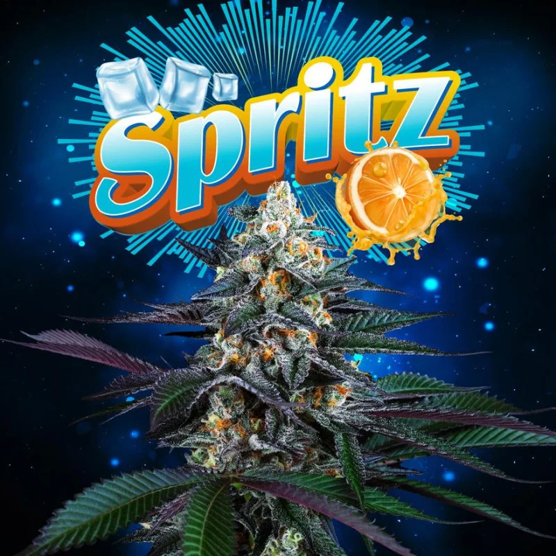 Spritz van Perfect Tree