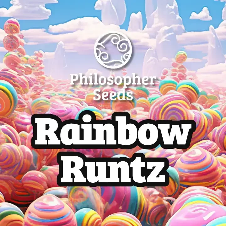 Rainbow Runtz van Philosopher Seeds