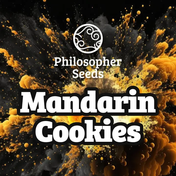 Mandarin Cookies van Philosopher Seeds