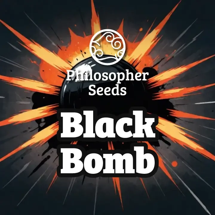 Black Bomb van Philosopher Seeds