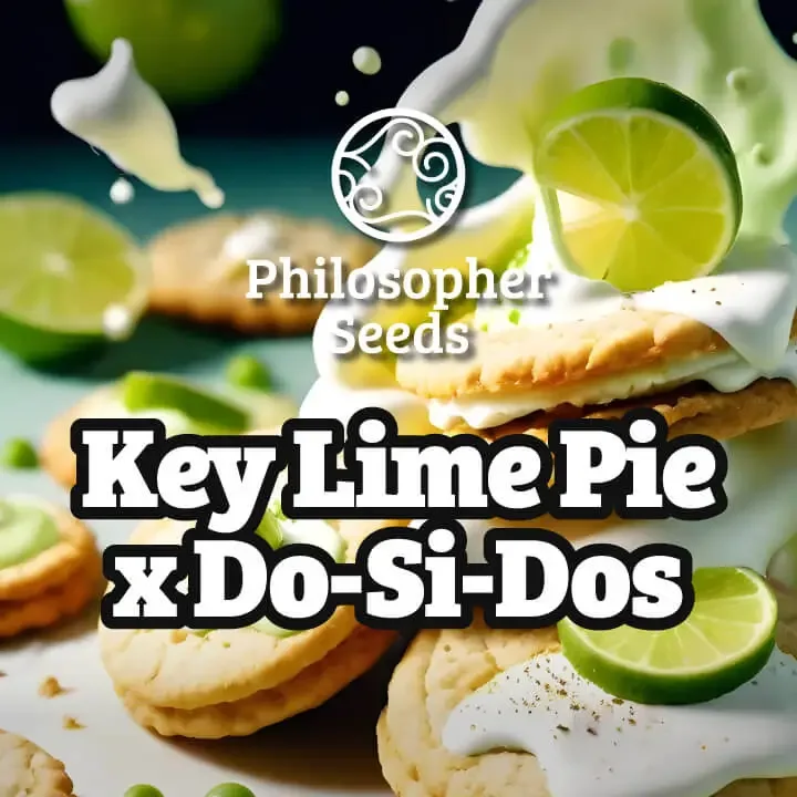 Key Lime Pie x Do-Si-Dos van Philosopher Seeds