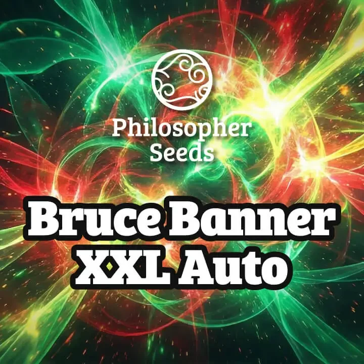 Bruce Banner XXL van Philosopher Seeds