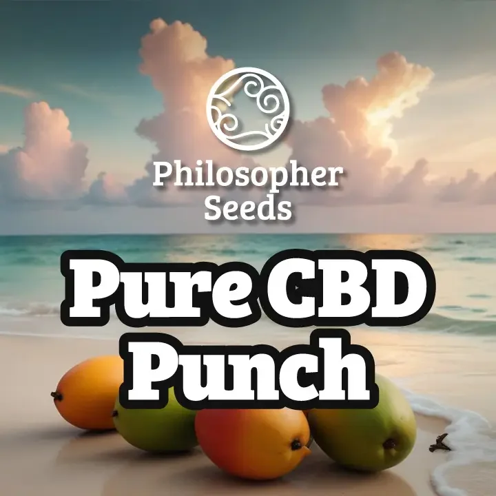 Pure CBD Punch van Philosopher Seeds