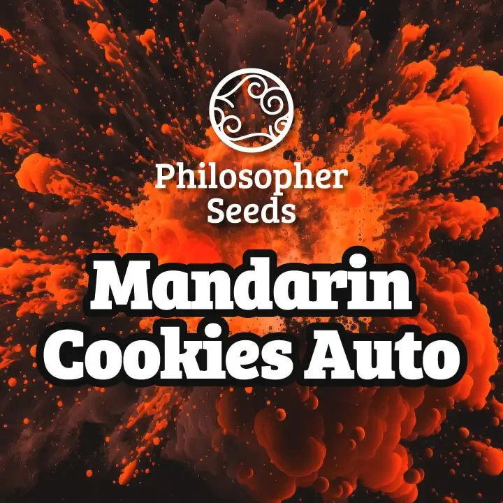 Mandarin Cookies van Philosopher Seeds