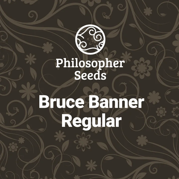 Bruce Banner van Philosopher Seeds