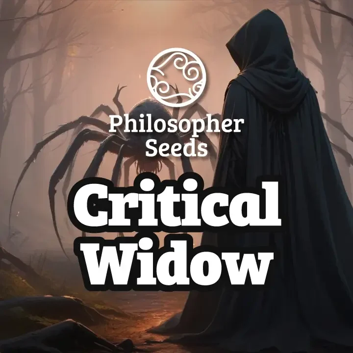 Critical Widow van Philosopher Seeds