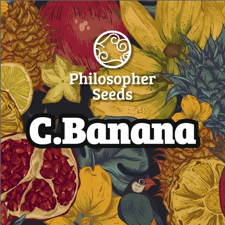 C.Banana van Philosopher Seeds