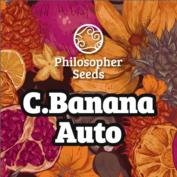 C.Banana van Philosopher Seeds