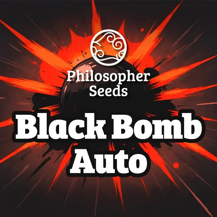 Black Bomb van Philosopher Seeds