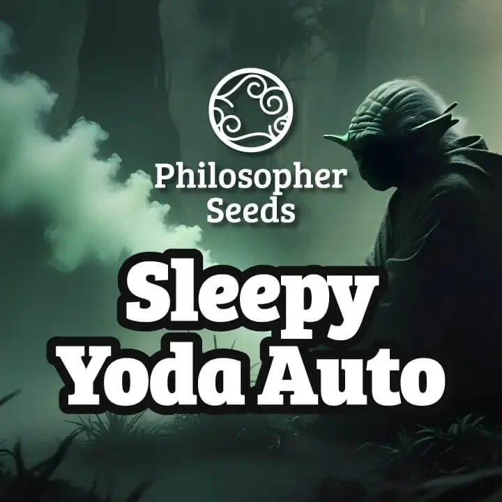 Sleepy Yoda van Philosopher Seeds