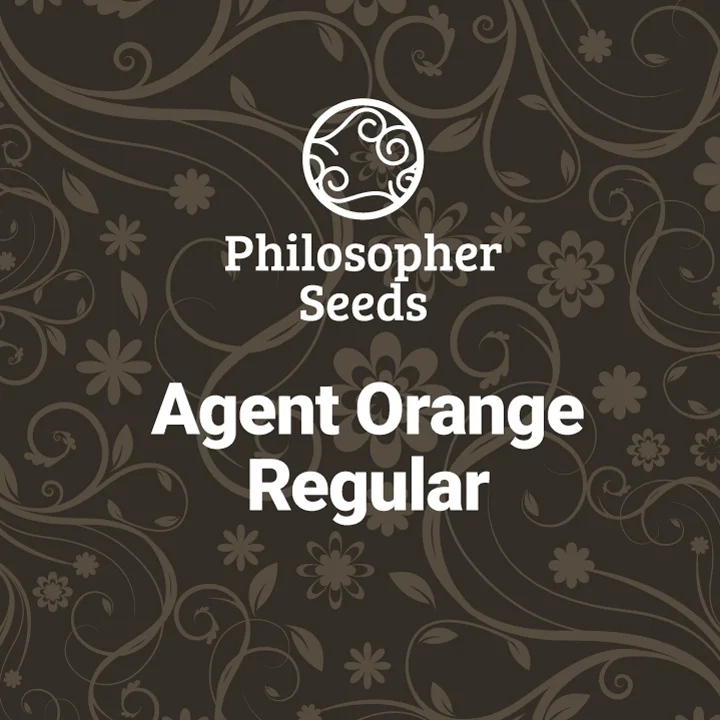 Agent Orange van Philosopher Seeds