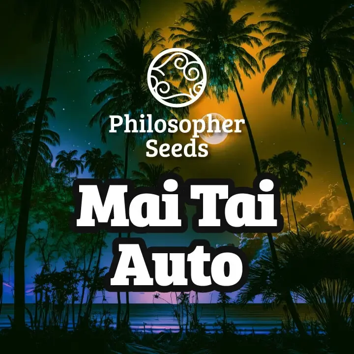 Mai Tai van Philosopher Seeds