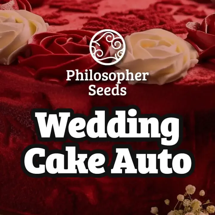 Wedding Cake van Philosopher Seeds