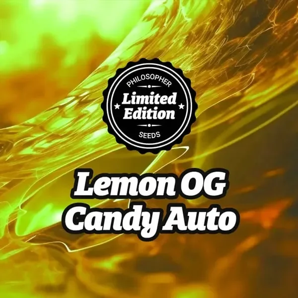 Lemon CBD van Philosopher Seeds