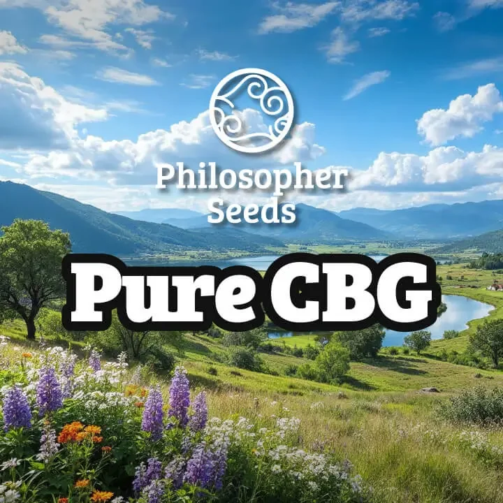 Pure CBG van Philosopher Seeds