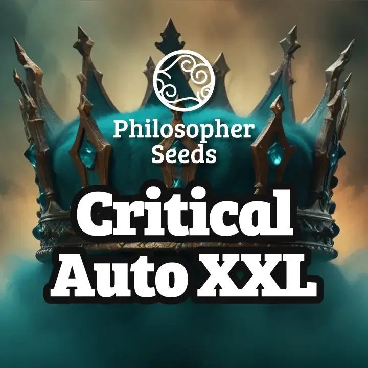Critical XXL van Philosopher Seeds