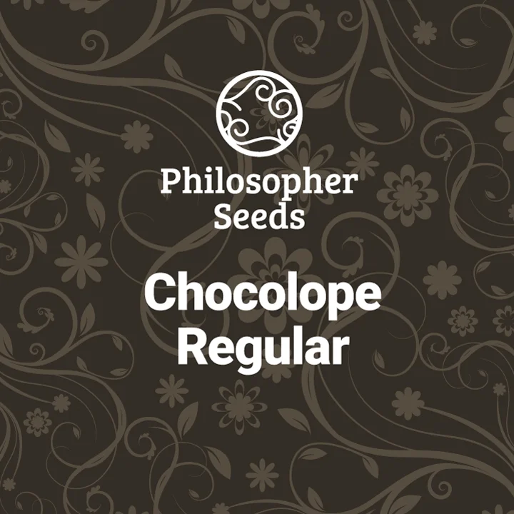 Chocolope van Philosopher Seeds