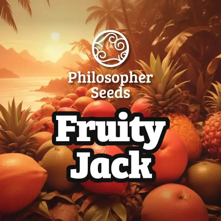 Fruity Jack van Philosopher Seeds