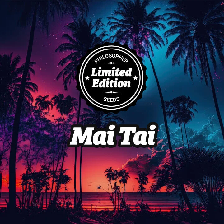 Mai Tai van Philosopher Seeds