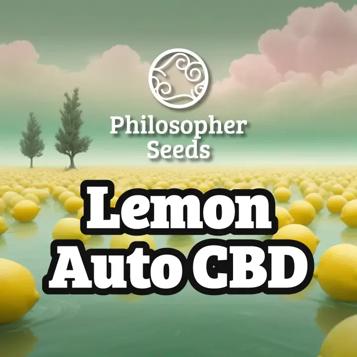 Lemon CBD van Philosopher Seeds