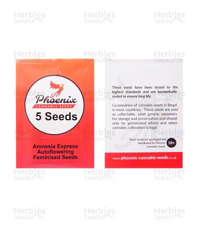 Amnesia Express van Phoenix Seeds