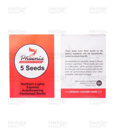 Northern Lights Express van Phoenix Seeds