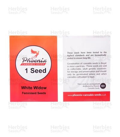 White Widow van Phoenix Seeds