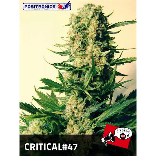 Critical #47 van Positronics Seeds