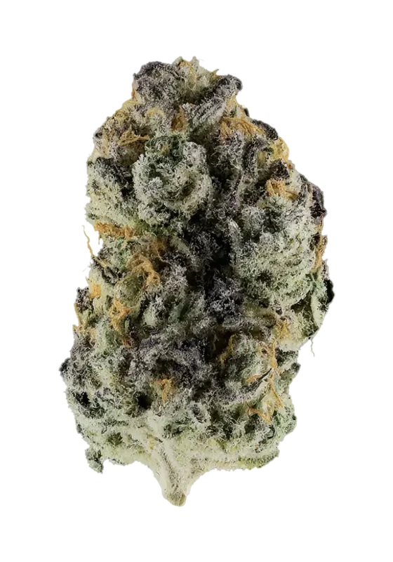 Twin X Znackz van Preferred Gardens